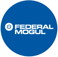 Federal Mogul